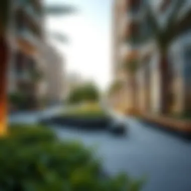 Modern amenities and green spaces in Emaar South community