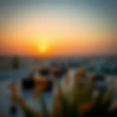Captivating Sunset Views from Al Waha Villas Breathtaking sunset view from a terrace of an Al Waha villa overlooking the city