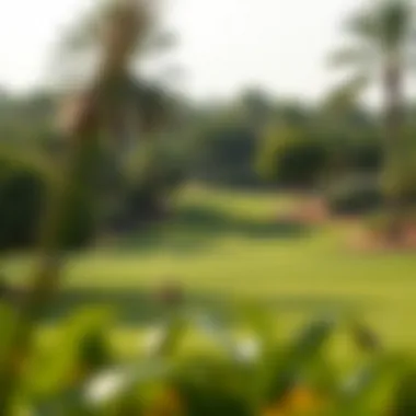 Golf course surrounded by lush greenery