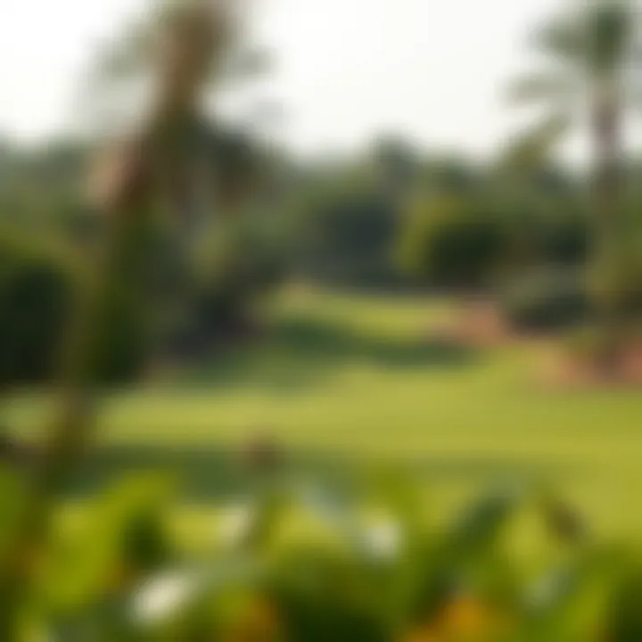Golf course surrounded by lush greenery