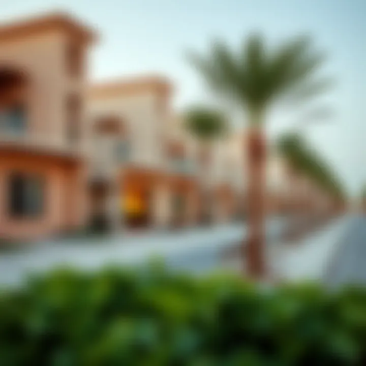 A vibrant community view surrounding Sidra villas showcasing amenities