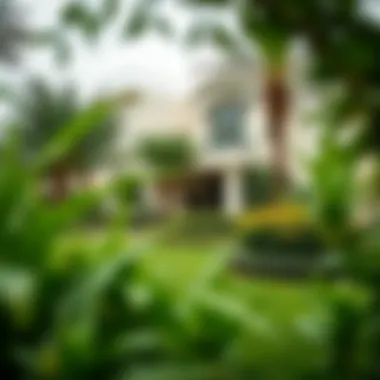 Lush greenery surrounding a villa in Green Community, Dubai