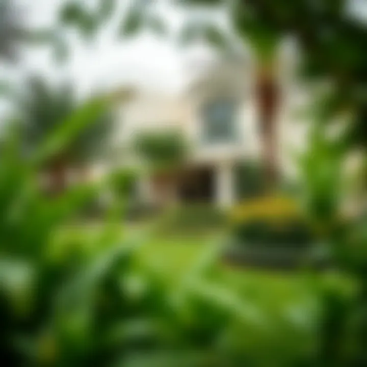 Lush greenery surrounding a villa in Green Community, Dubai