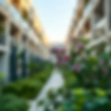 Ixora integrated into a modern Dubai residential development