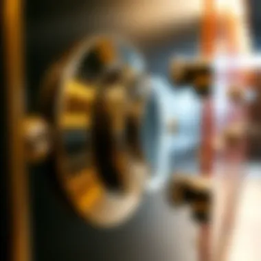 Close-up of advanced locking mechanism on a luxury safe