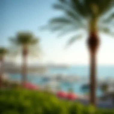 Beachfront and Marina of Palm Jumeirah Stunning beachfront with palm trees and luxurious yachts in the marina