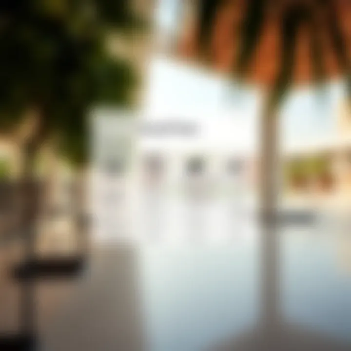 Visual representation of additional fees and costs at SABIS International School