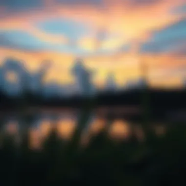 A serene lagoon reflecting the sky at sunset, surrounded by lush vegetation.