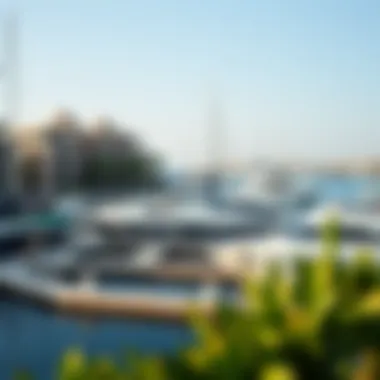 Vibrant marina area at Zuha Island featuring yachts and leisure activities